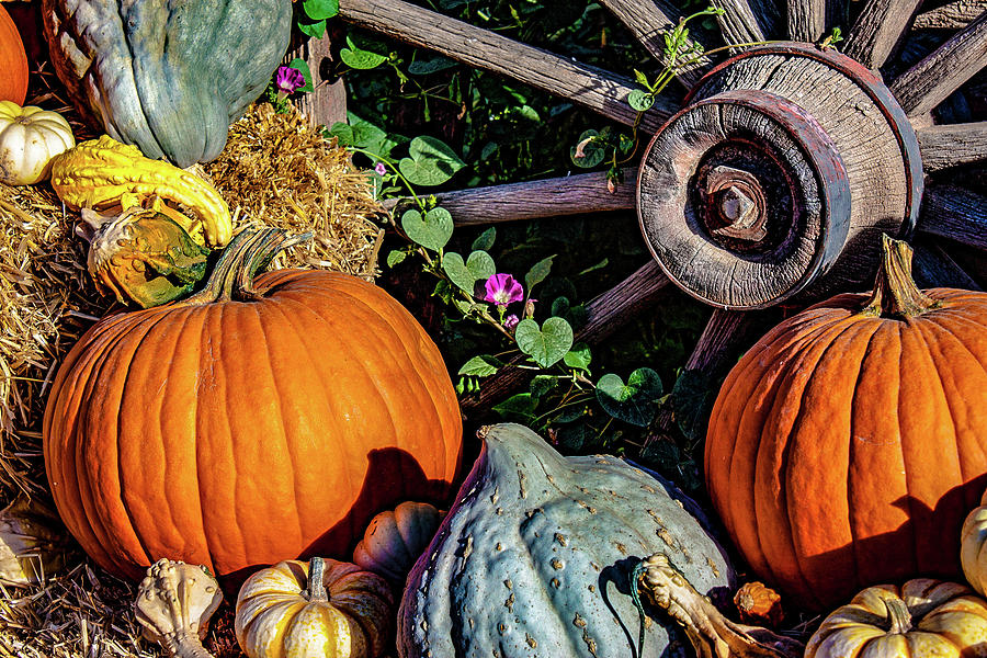 Wagon Wheel and Pumpkins Photograph by Gerri Duke