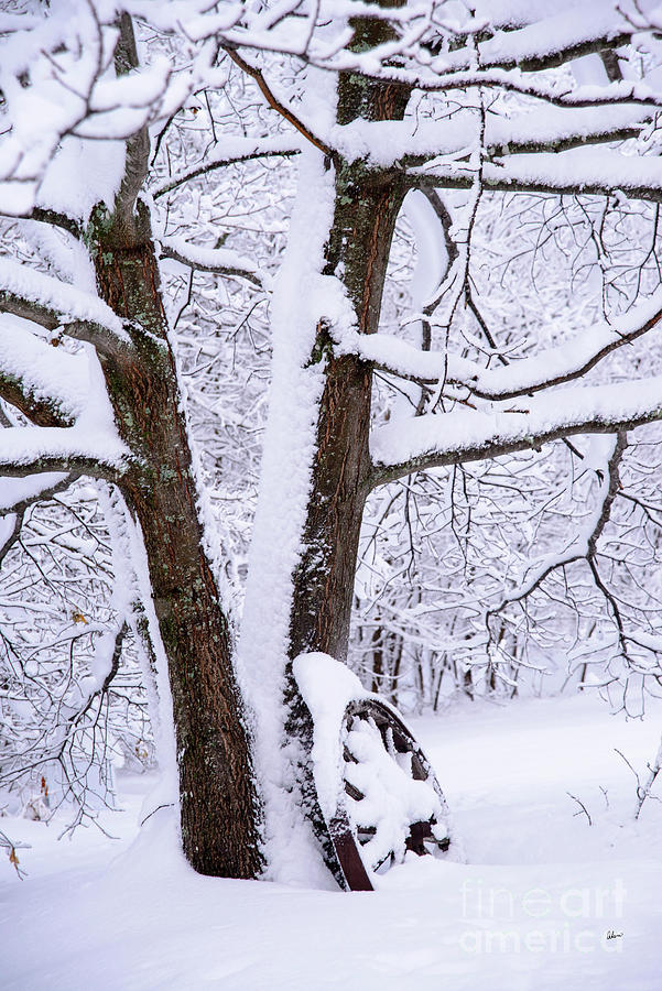 Wagon Wheel Snowy Scene Photograph