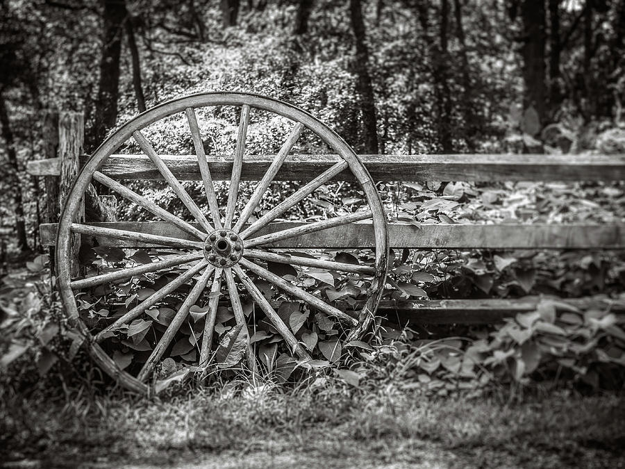 wagon wheel by Steve Stanger wagon wheel by Steve Stanger