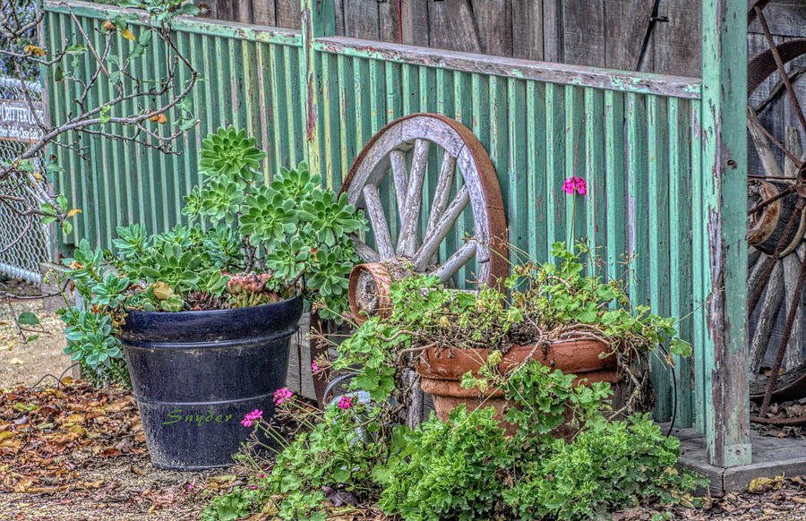 Wagon Wheels and Potted Plants Photograph by Barbara Snyder
