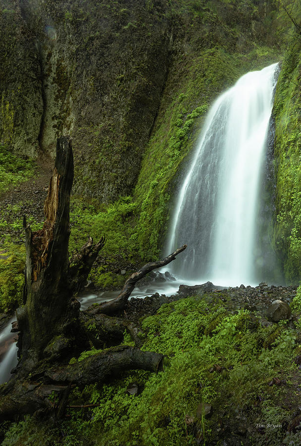 Waterfall Photograph - Wahkeena Falls by Tim Bryan