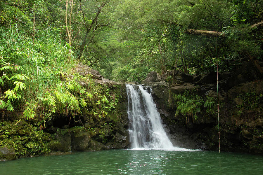 Waikamoi Falls by Marie Leslie Waikamoi Falls by Marie Leslie