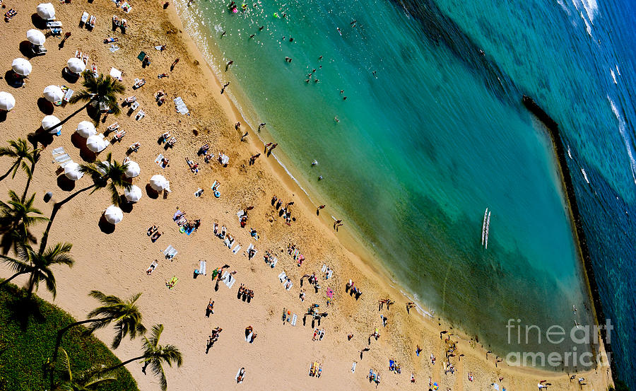 Waikiki Beach Life from Above Photograph by Debra Banks