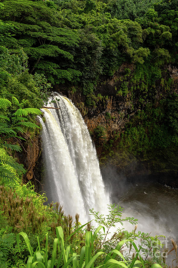 Wailua Falls Photograph by Tim Mealy - Fine Art America