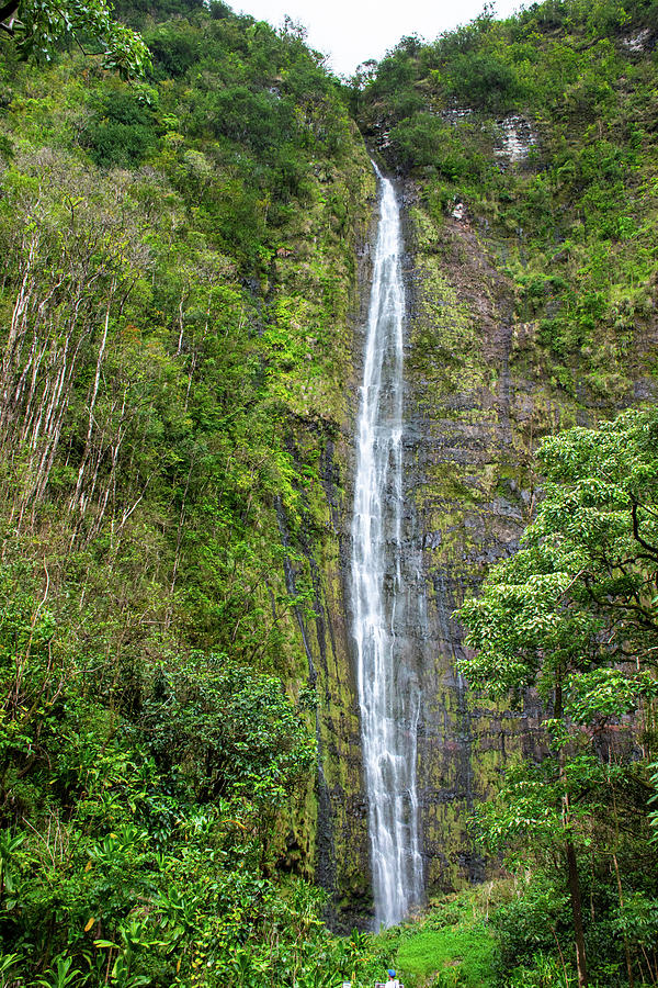 Waimoku Falls Photograph by Robert Michaud - Fine Art America