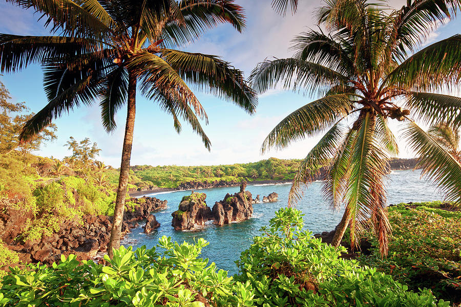 Wainapanapa, Maui, Hawaii Photograph by M.m. Sweet