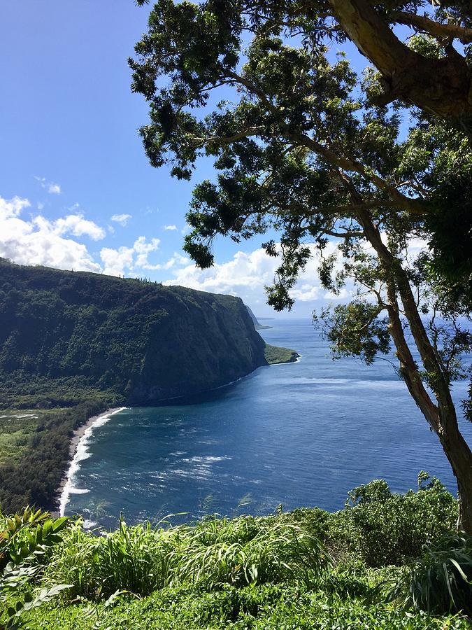 Waipio Valley, Hawaii  Photograph by Lehua Pekelo-Stearns