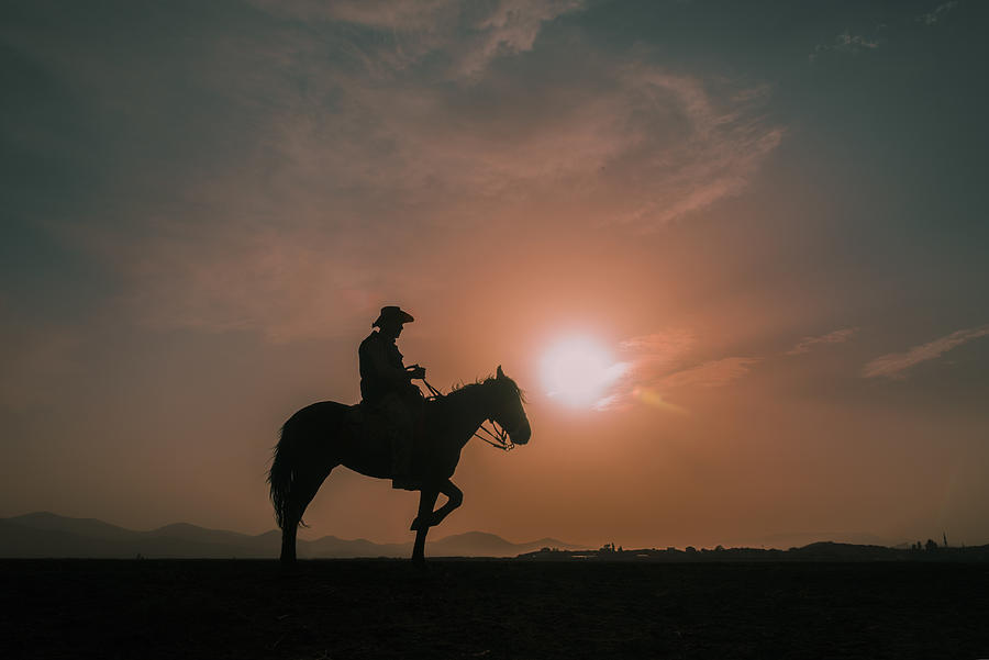 Horse Photograph - Waiting by Barkan Tekdogan