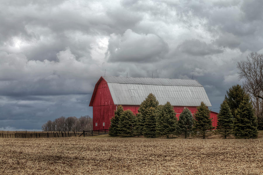 Waiting For Spring by Elaine Farrington Johnson Waiting For Spring by Elaine Farrington Johnson