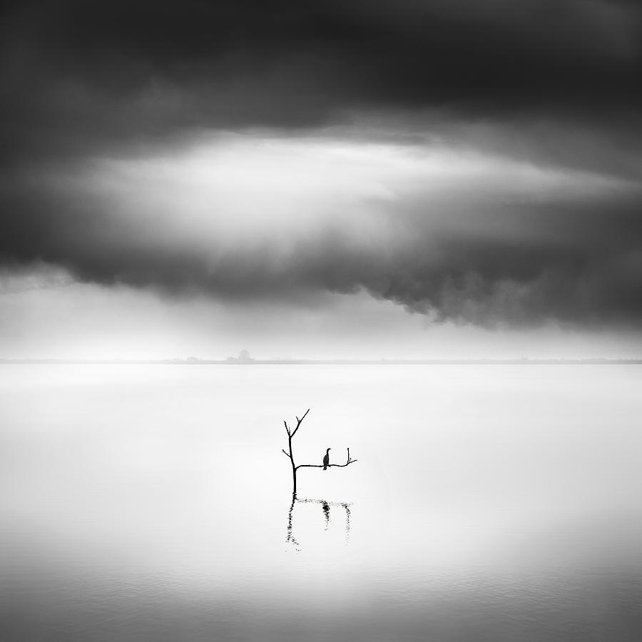 Waiting For The Summer Photograph by George Digalakis