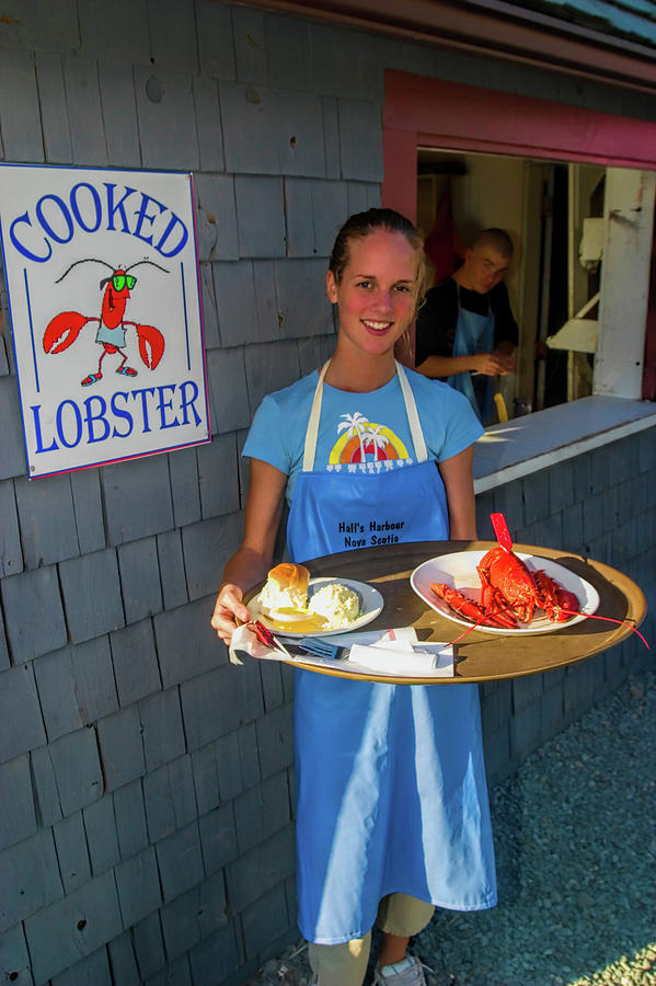 Waitress serving lobster  Photograph by David Smith