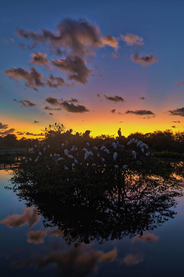 Wakodahatchee Wetlands Sunrise and Birds Photograph by Juergen Roth