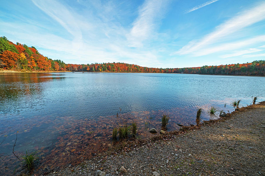 Walden Pond Beautiful Fall Foliage Concord MA Photograph by Toby McGuire