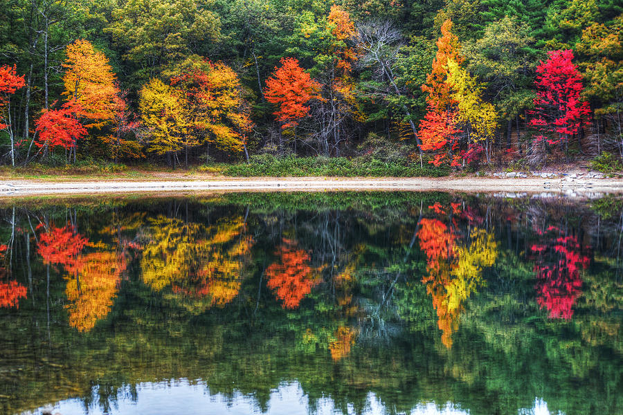 Walden Pond Fall Foliage Concord MA Reflection Photograph by Toby McGuire
