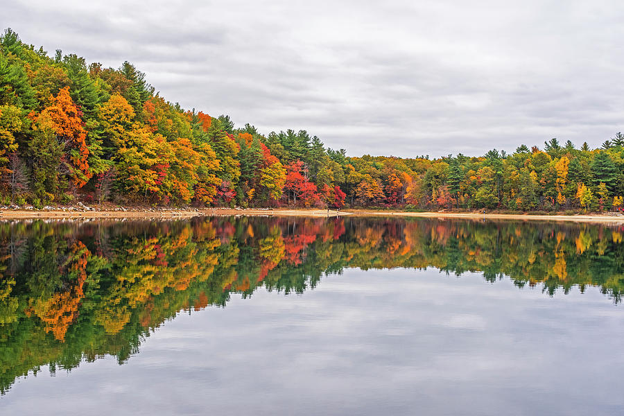 Walden Pond Fall Foliage Concord MA Reflection Trees Photograph by Toby McGuire