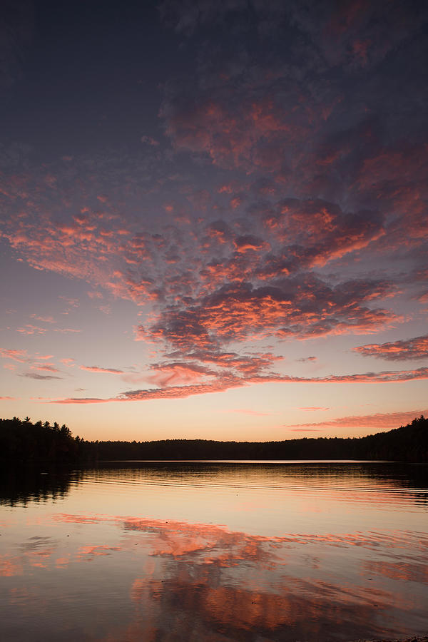 Walden Pond Sunset Photograph by Steve Dunwell