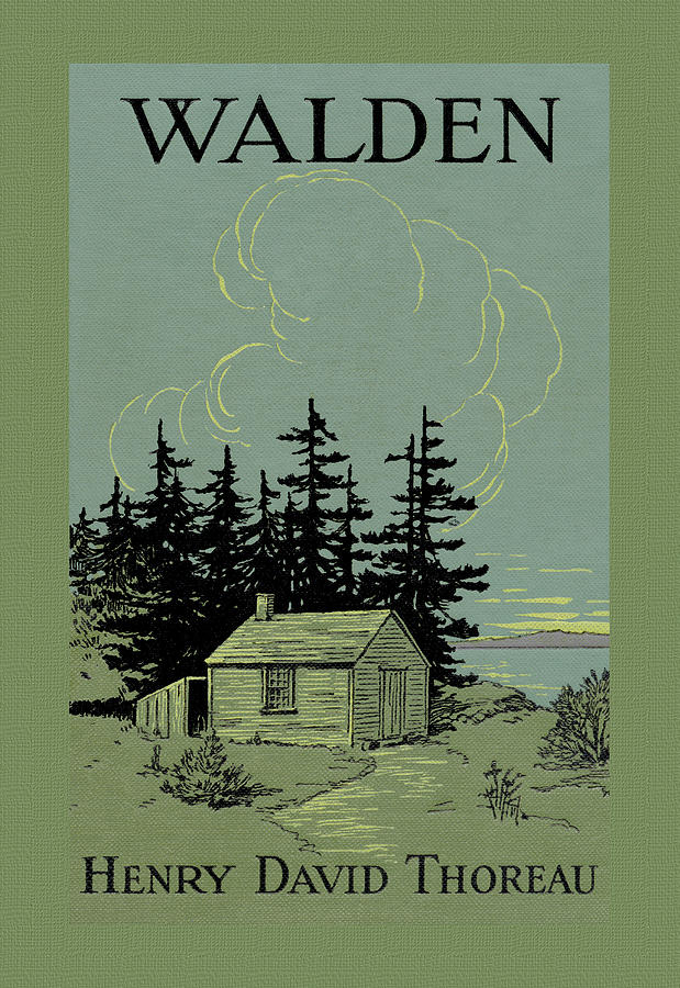 Walden Painting by Unknown