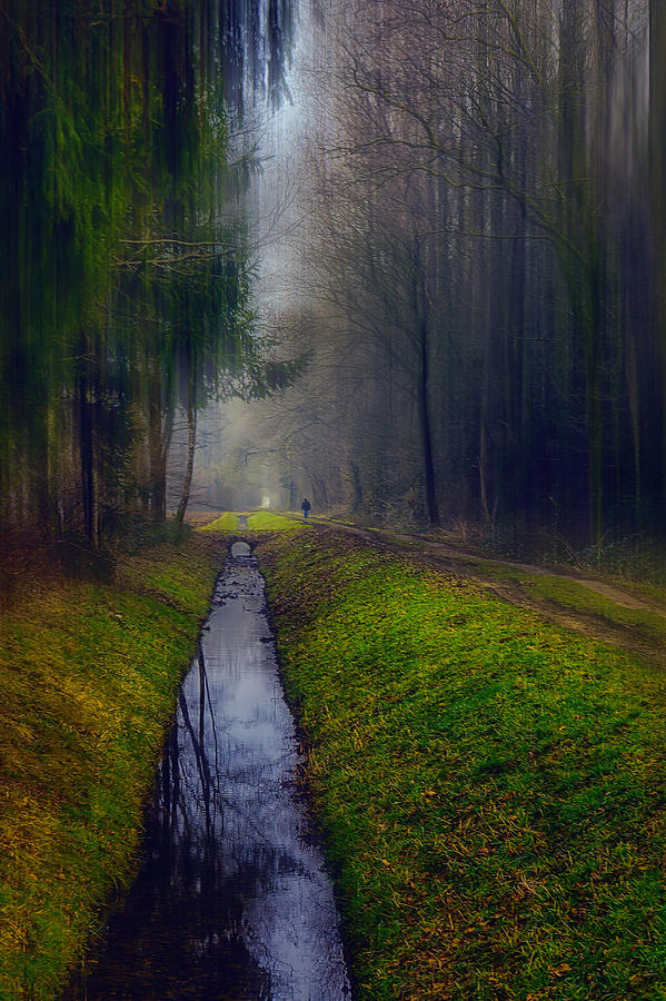 Old Photograph - Walk Alone - Last Walk by Stefan Kierek