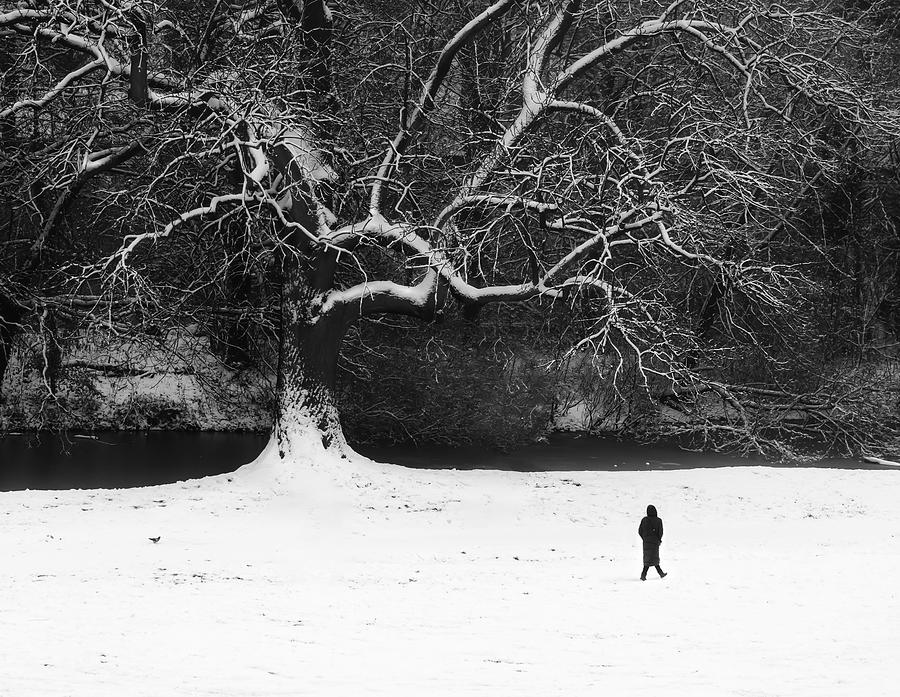 Winter Photograph - Walk In Black And White. by Anna Niemiec