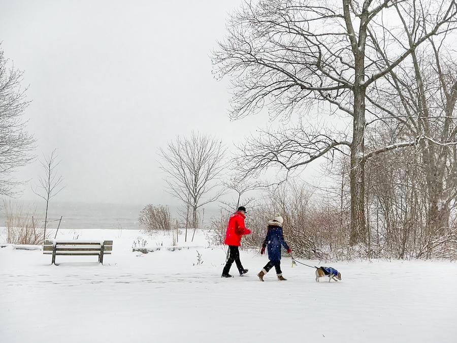 Winter Photograph - Walk In Snow by Weiwei