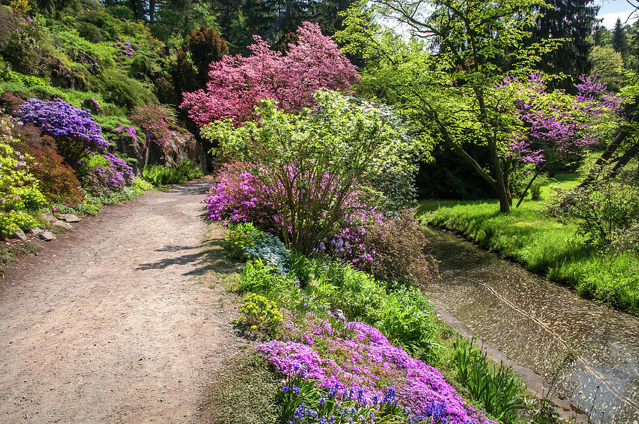 Walk in Spring Eden. Colorful Path 1 Photograph by Jenny Rainbow