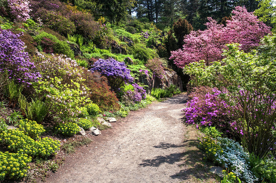 Walk in Spring Eden. Colorful Path 2 Photograph by Jenny Rainbow