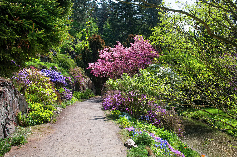 Walk in Spring Eden. Colorful Path Photograph by Jenny Rainbow