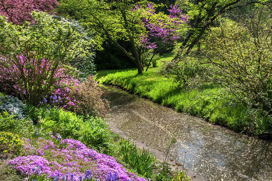 Flower Photograph - Walk in Spring Eden. Tiny Stream 1 by Jenny Rainbow
