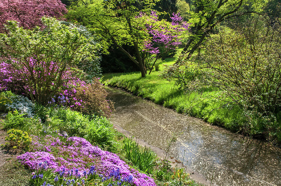 Walk in Spring Eden. Tiny Stream Photograph by Jenny Rainbow