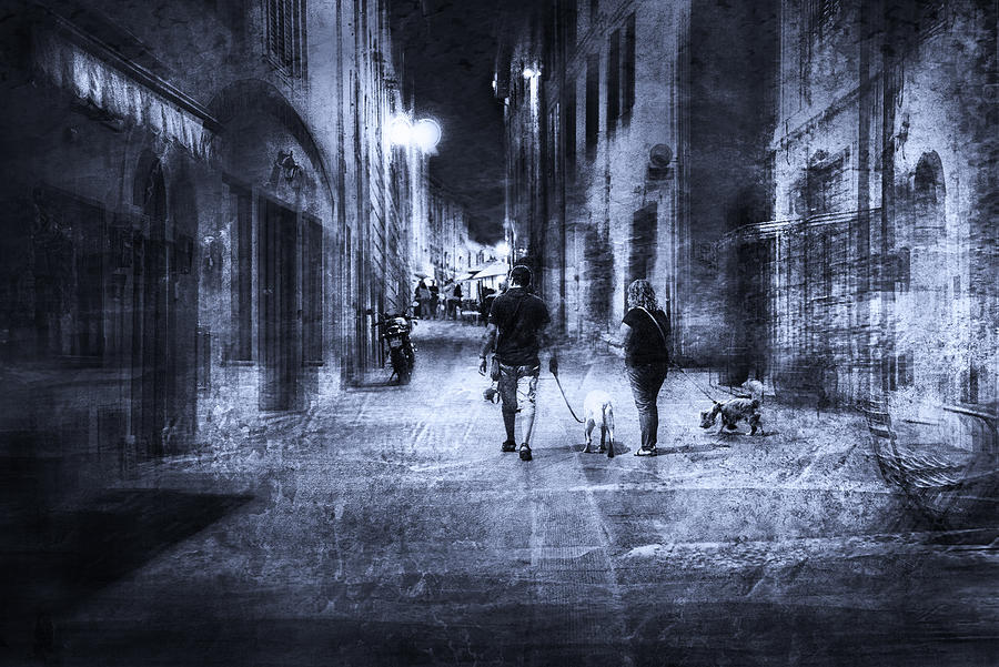 Walk In The Alley With Dogs Photograph by Nicodemo Quaglia