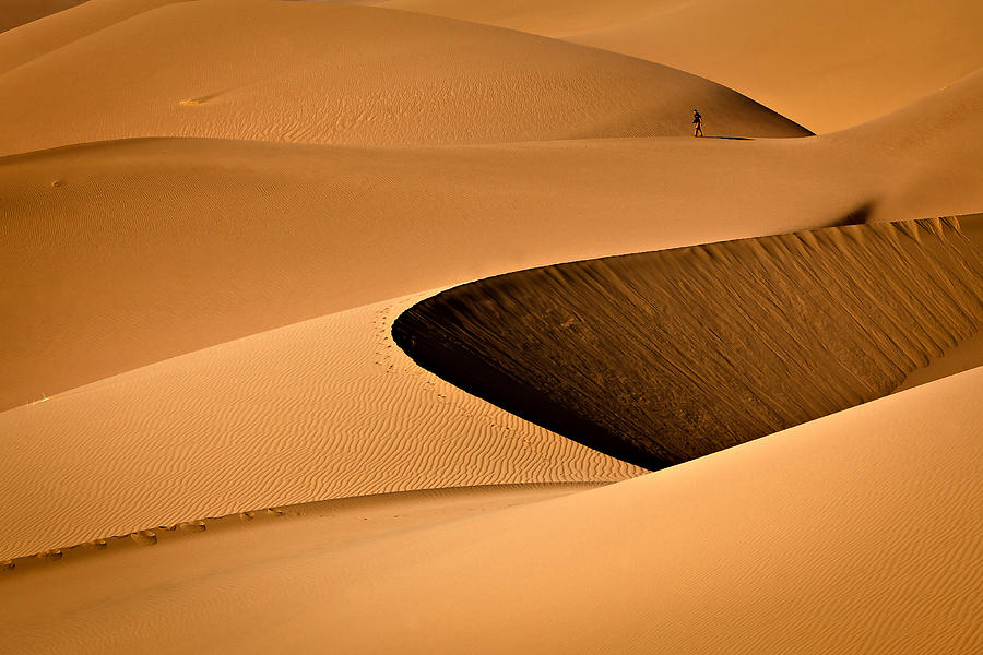 Walk In The Deserts Photograph by Mohammadreza Momeni