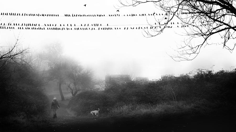 Walk In The Fog Photograph by Nicodemo Quaglia