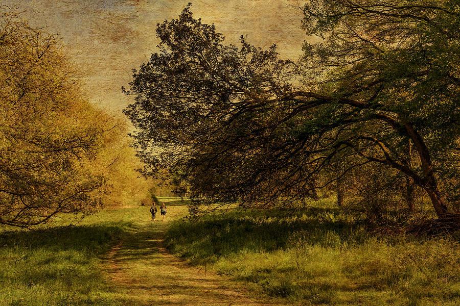 Nature Photograph - Walk In The Park by Isabelle Dupont