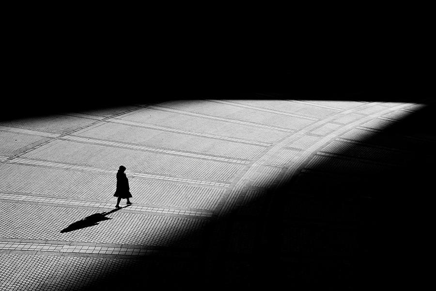 Walk Photograph by Satomi Kikuchi