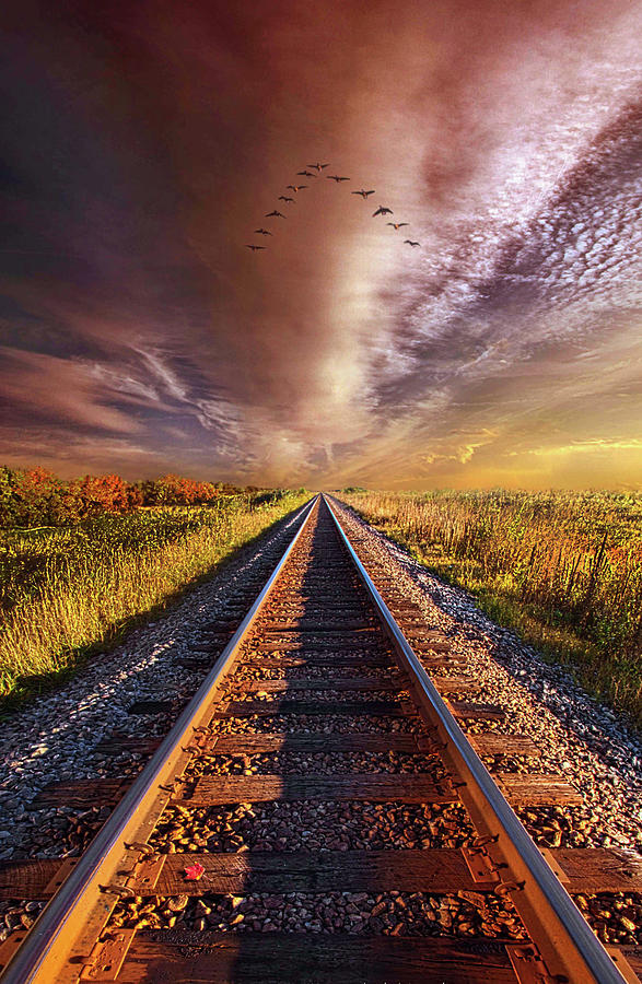 Walk The Line Photograph by Phil Koch