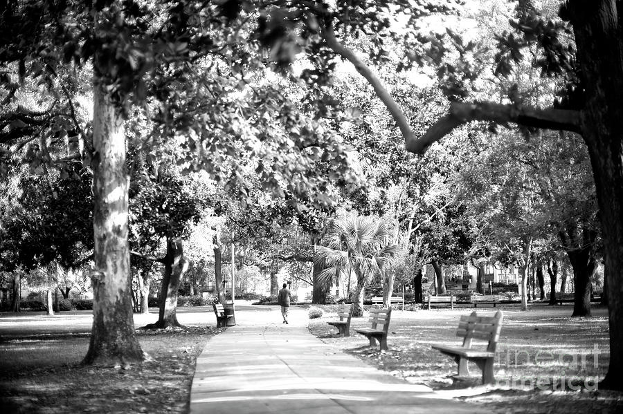Walk Through Forsyth Park in Savannah Photograph by John Rizzuto