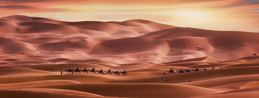 Walk Through The Desert Photograph by Jorge Ruiz Dueso