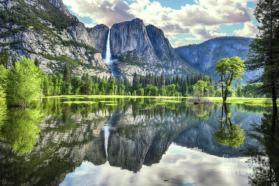 Yosemite National Park Photograph - Walk thru Yosemite by RJ Bridges