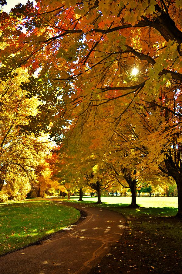 Walk With Me Photograph by Lkb Art And Photography - Fine Art America