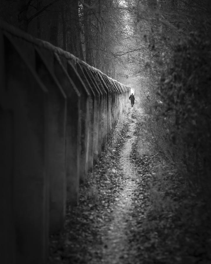 Walking Alone II Photograph by Andy Dauer