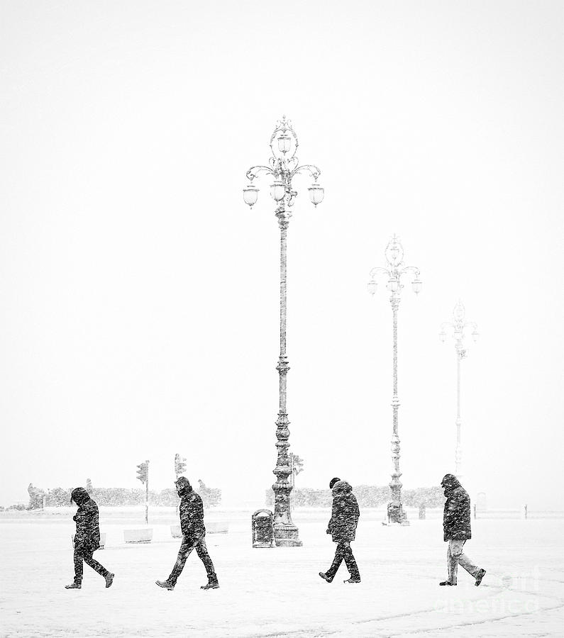Walking In The Snow Photograph
