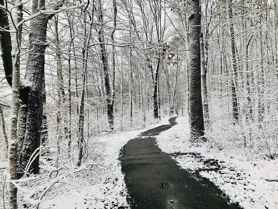 Walking In Winter  Photograph by Michael Krek