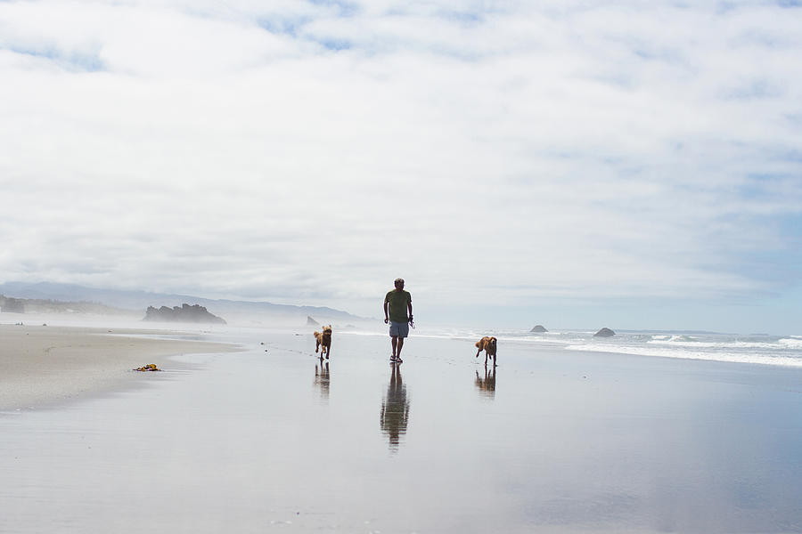 Walking On The Beach With Dogs Photograph by Photo By Jules Clark