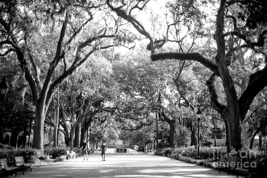 Walking the Dog at Forsyth Park in Savannah Photograph by John Rizzuto