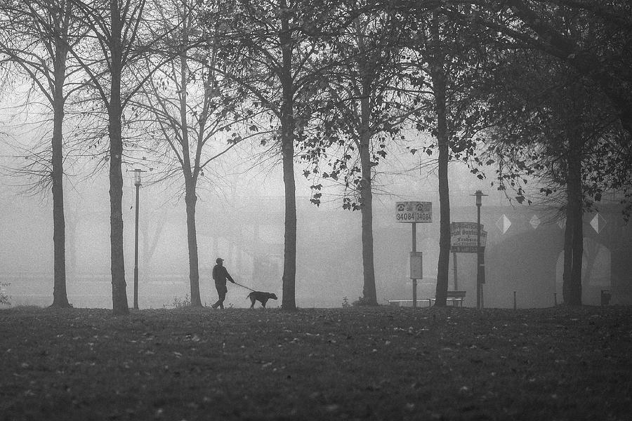 Walking The Dog On A Foggy Day Photograph by Eiji Yamamoto