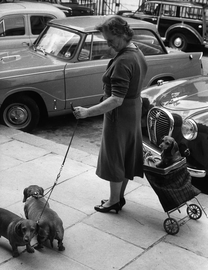 Walking The Dogs Photograph by Erich Auerbach