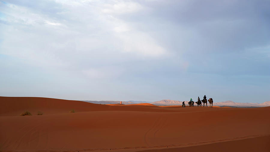 Walking the dunes by Yuri San Walking the dunes by Yuri San