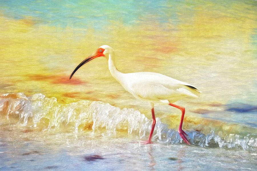 Walking The Waves Of Sanibel by Alice Gipson Walking The Waves Of Sanibel by Alice Gipson