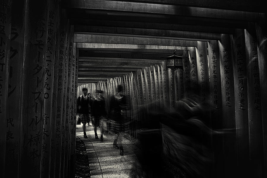 Walking Through The 1000 Tori Gates Photograph by Wanderlust
