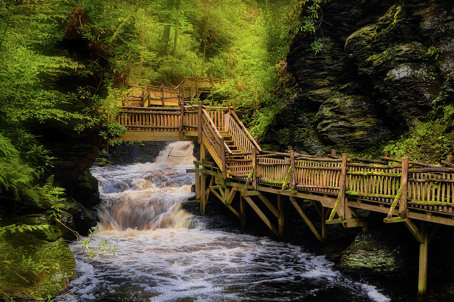 Walkway at Bushkill Falls Photograph by Jerry Fornarotto - Fine Art America